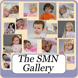 The SMN Gallery